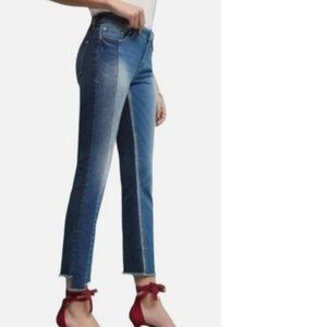 Anthropologie PILCRO Parallel Color Block Panel Jeans Sz 26